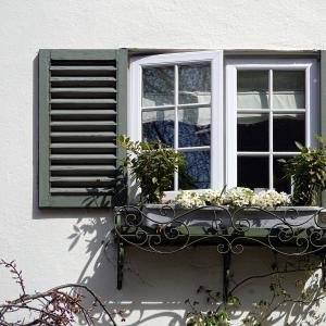 5 Compelling Reasons to Choose Wooden Window Shutters for Your Home
